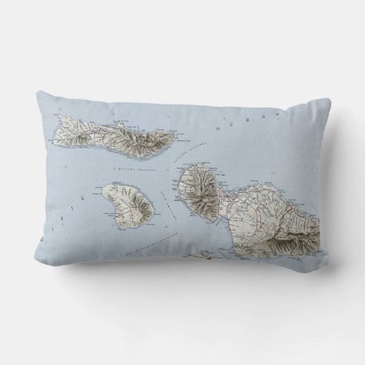 ヴィンテージのマウイハワイの地形図 ランバークッション (裏面)