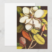 ヴィンテージのマグノリアの花の植物（種付き） (正面/裏面)