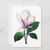 ヴィンテージのマグノリア フラワー ウェディング インビテーション (裏面)