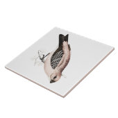 ヴィンテージのマツGrossbeakの歌の鳥のイラストレーション タイル (側面)