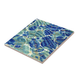 ヴィンテージのマーブル紙の効果のセラミックタイル タイル