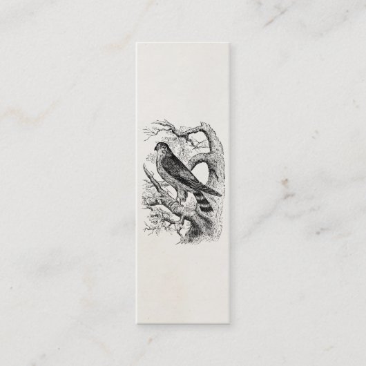 ヴィンテージのマーリンの《鳥》ハヤブサの鳥-鳥のテンプレートのブランク スキニー名刺 (正面)