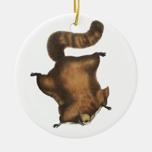 ヴィンテージのムササビ セラミックオーナメント (正面)