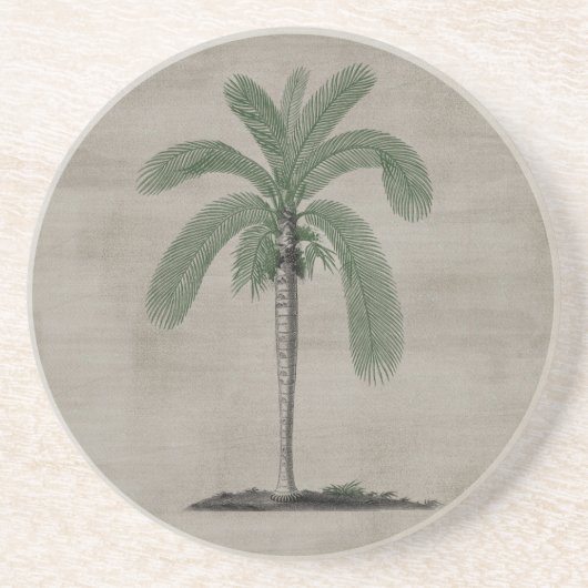 ヴィンテージのヤシの木 コースター (正面)