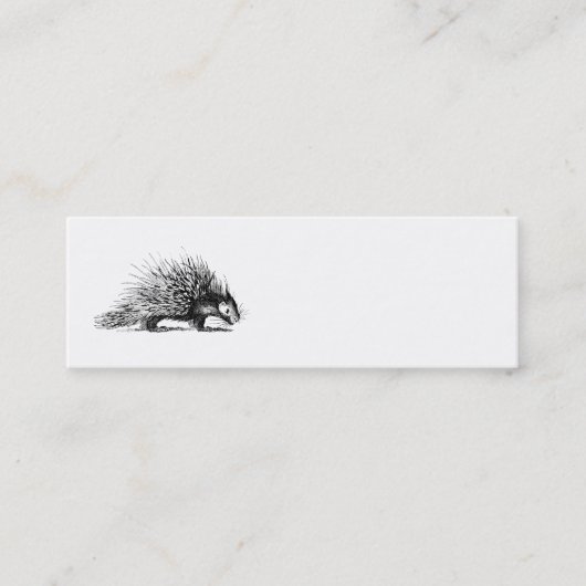 ヴィンテージのヤマアラシのイラストレーション- 1800'sヤマアラシ スキニー名刺 (正面)