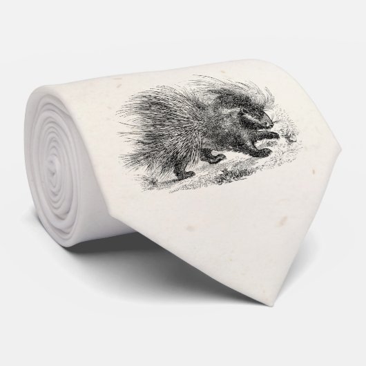 ヴィンテージのヤマアラシの19世紀のヤマアラシのイラストレーション ネクタイ (ロール)