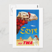 ヴィンテージのラクダおよびピラミッド ポストカード (正面/裏面)