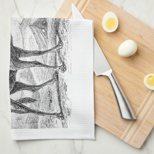 ヴィンテージのラクダのイラストレーション-レトロの旧式なラクダ キッチンタオル (四つ折り)