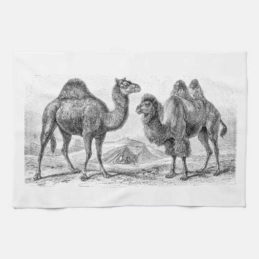 ヴィンテージのラクダのイラストレーション-レトロの旧式なラクダ キッチンタオル (横)
