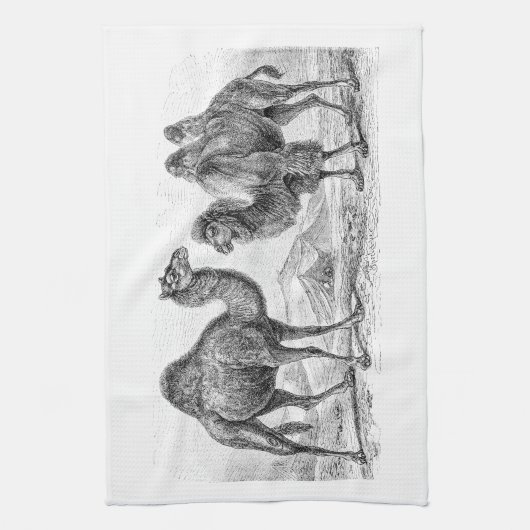 ヴィンテージのラクダのイラストレーション-レトロの旧式なラクダ キッチンタオル (縦)