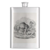 ヴィンテージのラクダのヒトコブラクダのパーソナライズなイラストレーション フラスク (正面)