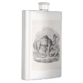 ヴィンテージのラクダのヒトコブラクダのパーソナライズなイラストレーション フラスク (右)