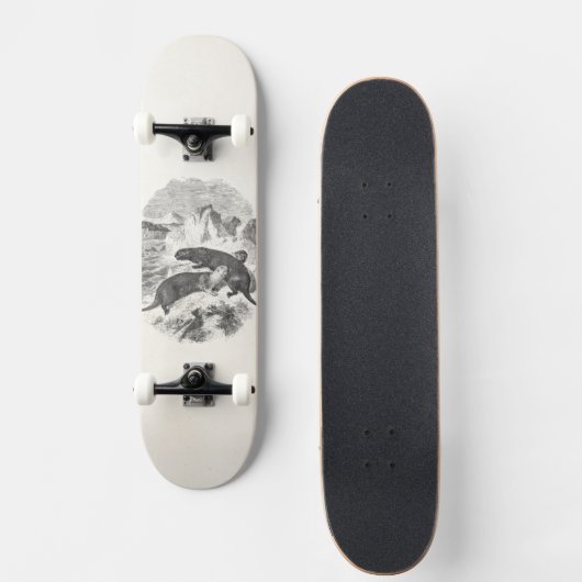 ヴィンテージのラッコの19世紀のカワウソのイラストレーション スケートボード (正面)