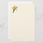 ヴィンテージのラッパスイセンの文房具 便箋 (正面/裏面)