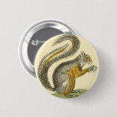 ヴィンテージのリスボタン 缶バッジ (正面&裏面)