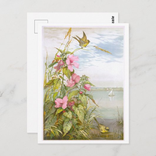 ヴィンテージのリトグラフ湿原ムロと鳥 ポストカード (正面/裏面)