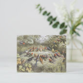 ヴィンテージのリハーサル ポストカード (スタンド正面)