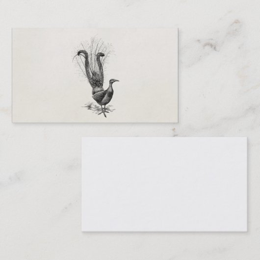 ヴィンテージのリラの鳥のコトドリ科のイラストレーションのテンプレート 名刺 (正面/裏面)