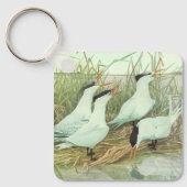 ヴィンテージのルイフェルテスによる湿原の海岸の鳥 キーホルダー (正面)