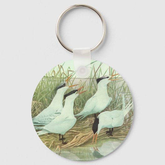 ヴィンテージのルイフェルテスによる湿原の海岸の鳥 キーホルダー (正面)
