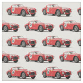 ヴィンテージのレースカーの生地 ファブリック (見本)