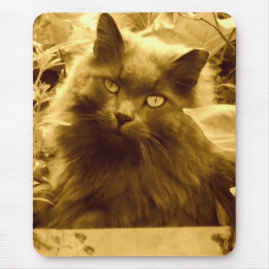 ヴィンテージのロシアの青い猫 マウスパッド (正面)