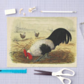 ヴィンテージのロスターパーティーまたは工芸 薄葉紙 (クラフト)