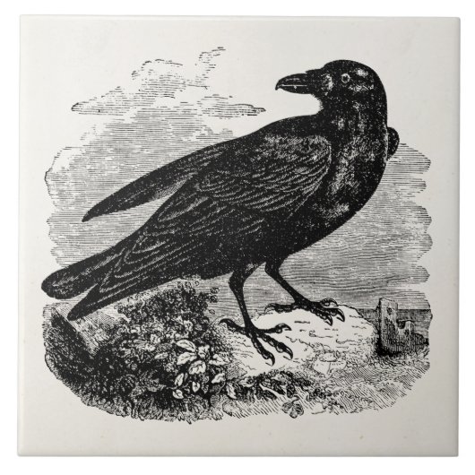 ヴィンテージのワタリガラスの黒の鳥のカラスのパーソナライズな鳥 タイル (正面)