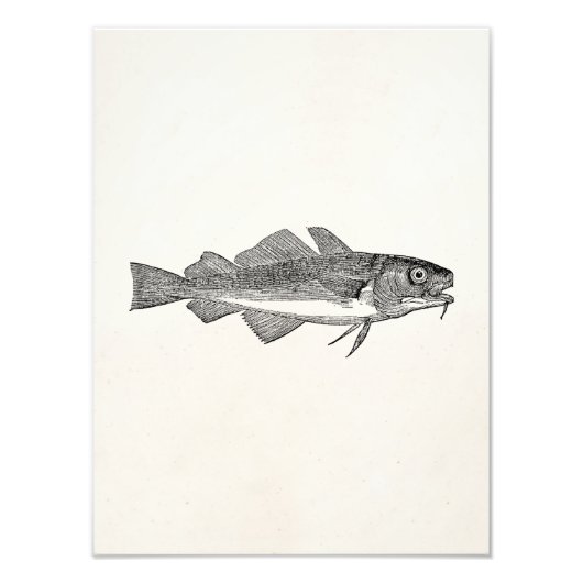 ヴィンテージの一般的なタラの魚 – 水中競技魚テンプレート フォトプリント            (正面)
