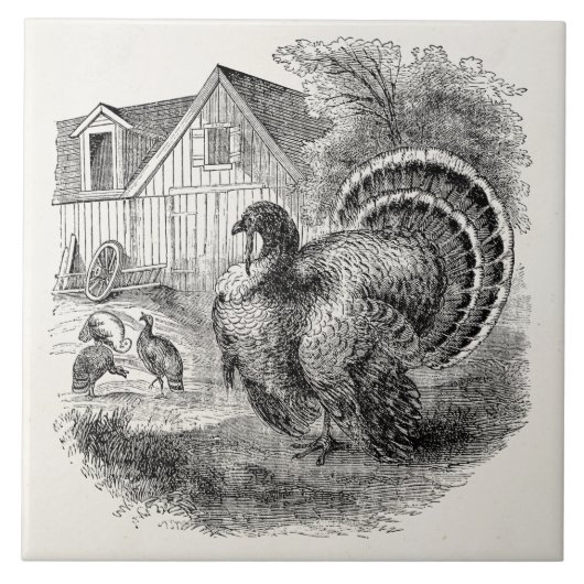 ヴィンテージの七面鳥-納屋のトルコのパーソナライズな鳥 タイル (正面)