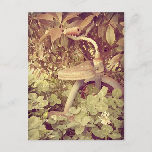 ヴィンテージの三輪車 ポストカード (正面)