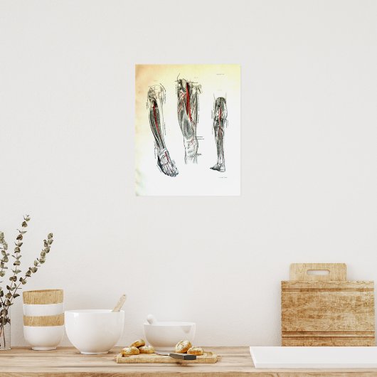 ヴィンテージの下肢のイラストレーション ポスター (キッチン)