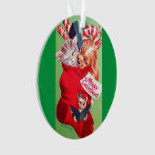 ヴィンテージの世紀半ばの美しいベビーの子犬の子ネコ オーナメント (正面)