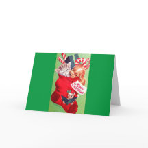 ヴィンテージの世紀半ばの美しいベビーの子犬の子ネコ