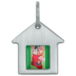 ヴィンテージの世紀半ばの美しいベビーの子犬の子ネコ ペットネームタグ