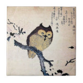 ヴィンテージの中国のなフクロウのタイル- Trivet タイル (正面)