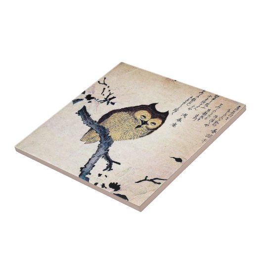 ヴィンテージの中国のなフクロウのタイル- Trivet タイル (側面)