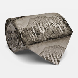 ヴィンテージの人のタイのTontos ネクタイ