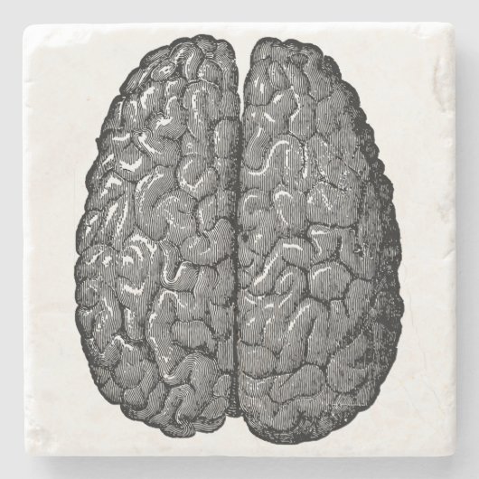 ヴィンテージの人間の脳のイラストレーション ストーンコースター (正面)