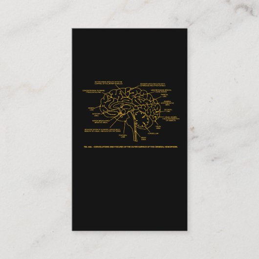 ヴィンテージの人間の解剖学の頭脳 名刺 (正面)