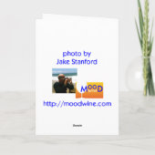 ヴィンテージの休日のオーナメントの球のピンク シーズンカード (裏面)