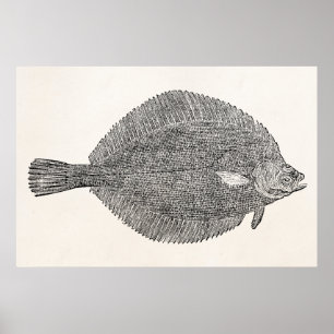 ヴィンテージの共通の軽打のもがきの魚-テンプレート ポスター