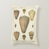 ヴィンテージの円錐形の貝 アクセントクッション (裏面(縦))