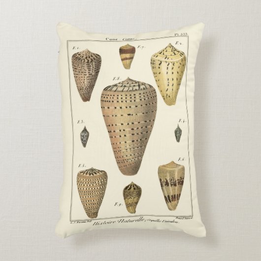 ヴィンテージの円錐形の貝 アクセントクッション (正面(垂直))
