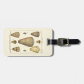 ヴィンテージの円錐形の貝 ラゲッジタグ (正面横)