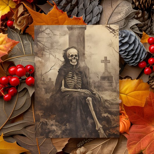 ヴィンテージの写真の分離 ポストカード