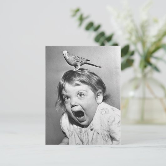 ヴィンテージの写真の郵便はがき ポストカード (スタンド正面)