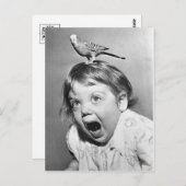 ヴィンテージの写真の郵便はがき ポストカード (正面/裏面)