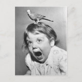 ヴィンテージの写真の郵便はがき ポストカード (正面)