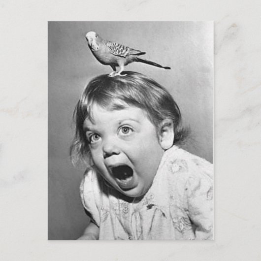 ヴィンテージの写真の郵便はがき ポストカード (正面)